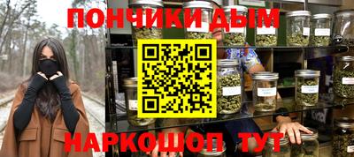 индика Заводоуковск
