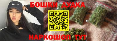 индика Заводоуковск