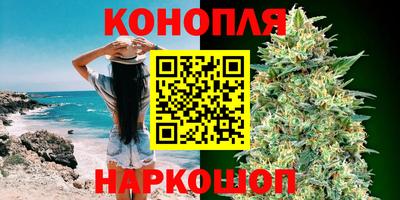 сатива Заволжье