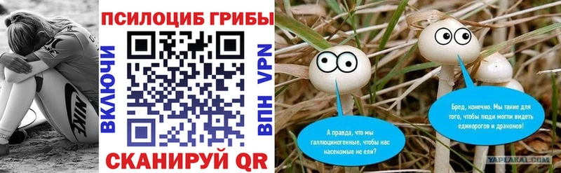 Псилоцибиновые грибы мицелий  где продают   Топки 