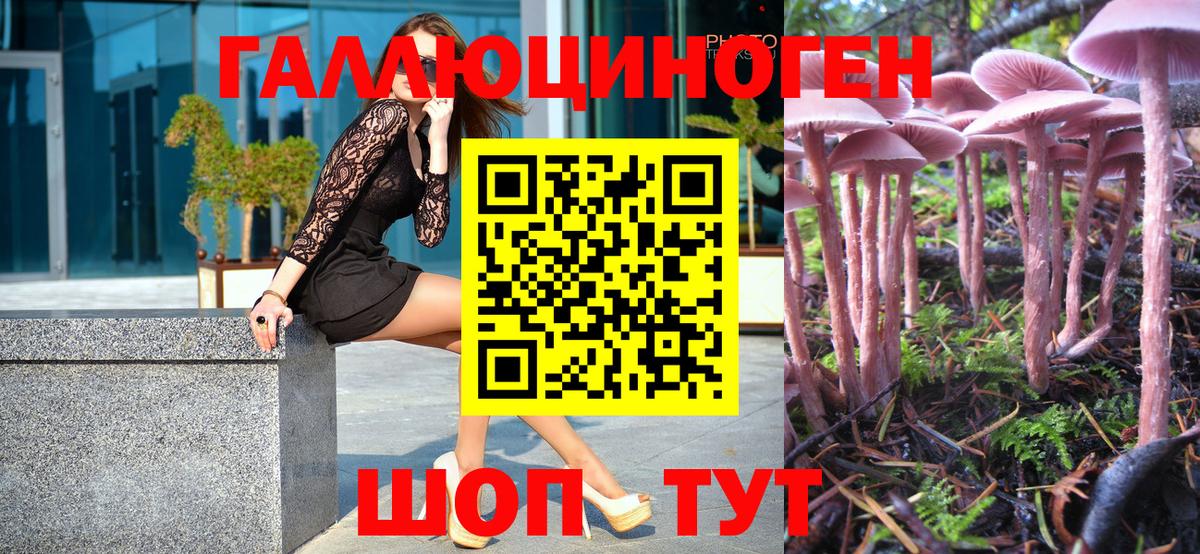 Галлюциногенные грибы MAGIC MUSHROOMS  Вход с VPN  Топки 